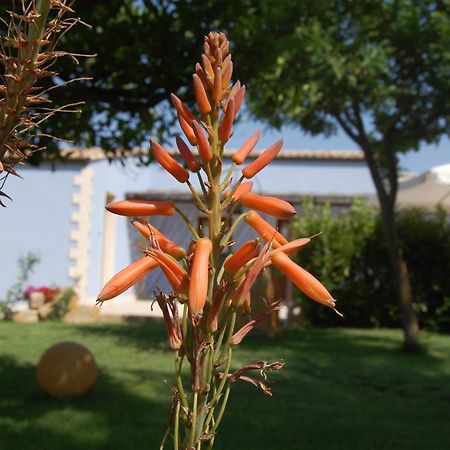Terre Iblee Resort 嘉拉蒙提·古非 外观 照片